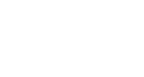 FibreNest logo