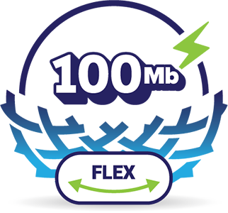 Full Fibre plan icon