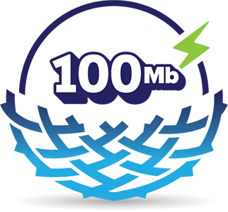 Full Fibre plan icon